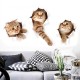 3D Cat Wall Stickers