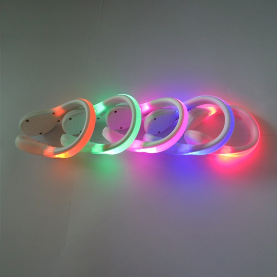 Rechargeable LED Shoe Light